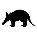Aardvark Silhouette Isolated On White Royalty Free Stock Photo