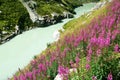 Aare river near Grimsel pass