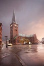 Aarhus Cathedral - Cathedral of Ãâ¦rhus at dawn. Denmark Royalty Free Stock Photo