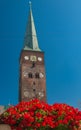 Aarhus Cathedral Royalty Free Stock Photo