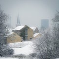 Aarhus in winter - park with snow, Denmark