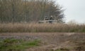 Military tank moving in a field Royalty Free Stock Photo