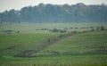 Military tank moving in a field Royalty Free Stock Photo