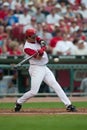 Aaron Boone, Cincinnati Reds Royalty Free Stock Photo