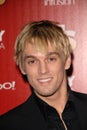 Aaron Carter,The Used Royalty Free Stock Photo