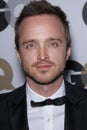 Aaron Paul Royalty Free Stock Photo