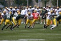 Aaron Rodgers Scrimmaging During NFL Training Camp Royalty Free Stock Photo