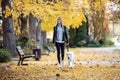 Aattractive young woman walking with her lovely golden retriever dog in the park in autumn Royalty Free Stock Photo