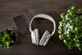 Aaudiobook music concept modern wireless headphones smartphone book