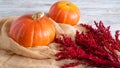 Aautumn concept. Two small cosy pumpkins. Orange harvest background. Red dried flower. Soft rustic fabric