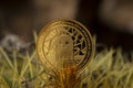 Aave Crypto Coin Placed on Cactus Spikes
