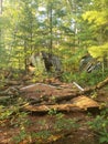 An Ab andoned Cabin Caving in and Falling Apart in Minnesota