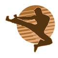 silhouette of a martial art man jump kick action pose. Royalty Free Stock Photo