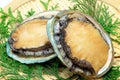 Abalone