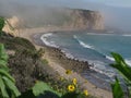 Abalone Cove, California Royalty Free Stock Photo