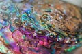 Abalone shell with rainbow colors in closeup macro view Royalty Free Stock Photo