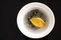 Abalone soup Royalty Free Stock Photo