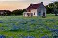 Abandonded Old House in Texas Wildflowers.