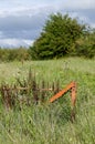 Abandoned agricultural machinery