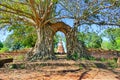 Abandoned Ancient Buddhist Temple Ruins of Wat Phra Ngam from Late Ayutthaya Period in The Historic City of Ayutthaya, Thailand Royalty Free Stock Photo