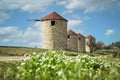 Abandoned Ancient Greek windmills near to Melia village Evros Thrace Greece flowers foreground, hello spring