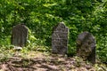 Abandoned ancient Jewish cemetery in the forest