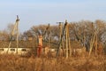 Abandoned animal farm