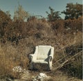 Abandoned armchair disposed in nature