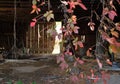 Abandoned barn Royalty Free Stock Photo