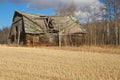 Abandoned barn in harvestedwheat field Royalty Free Stock Photo