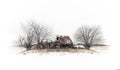 Abandoned barn on a hill Royalty Free Stock Photo