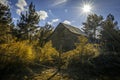 Abandoned barn in an overgrown field with golden rod Royalty Free Stock Photo