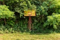 Abandoned basketball court covered with grass Royalty Free Stock Photo