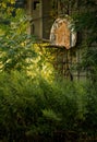 Abandoned Basketball Hoop Royalty Free Stock Photo