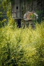 Abandoned Basketball Hoop Royalty Free Stock Photo