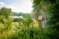 Abandoned Basketball Hoop Royalty Free Stock Photo