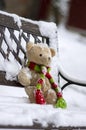 Abandoned beige plushy teddy bear with red green striped knitted scarf sitting on the bench covered with white snow Royalty Free Stock Photo