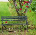 Abandoned bench Royalty Free Stock Photo