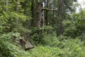 Abandoned bench in the forest Royalty Free Stock Photo