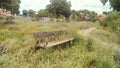 Abandoned bench, path and grass Royalty Free Stock Photo