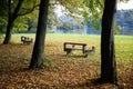 Abandoned benches in a park Royalty Free Stock Photo