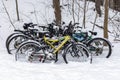 Abandoned bicycles covered with snow, parked near trees in winter