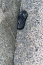 Abandoned black flip flop shoe