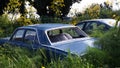 Abandoned blue cars in the grass in Cyprus