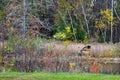 Abandoned Boat, October 2014, Berlin, Ma - by Eric L. Johnson Photography