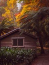 Abandoned boat shed againts the background of Sherbrooke forest