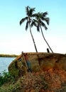Abandoned Boat on the River Banks of Siolim Goa