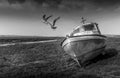 Abandoned Boats at Penclawdd Estuary