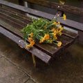 Abandoned bouquet on the  bench Royalty Free Stock Photo