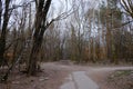 Abandoned brick buildings among trees in the Chernobyl radiation contamination zone